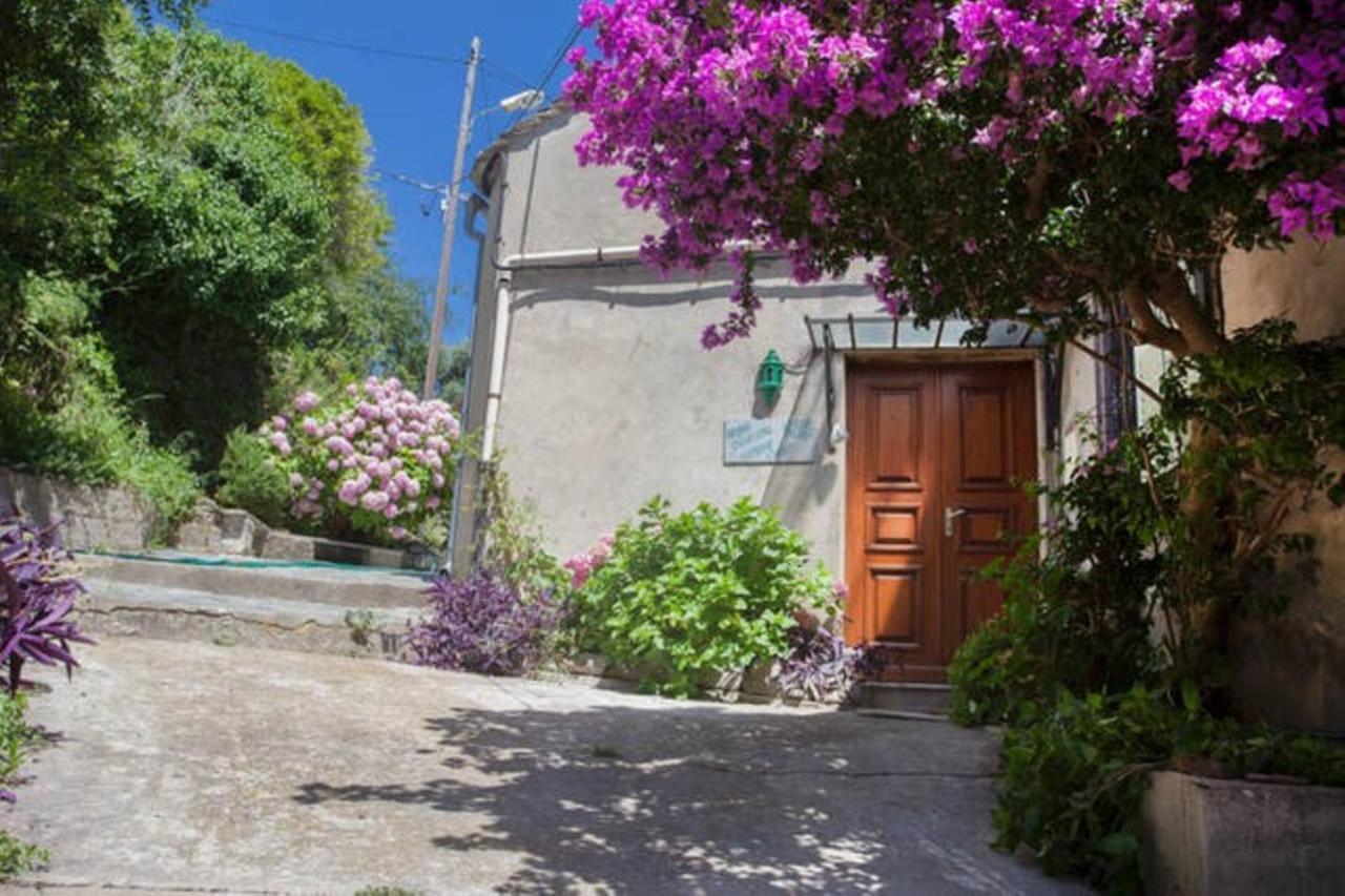 Maison Simonpietri Cagnano Exterior photo